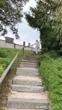 IMG-6338-001